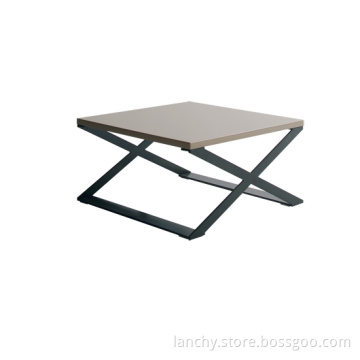 Modern Wooden Coffee Table with High Gloss (TT-FK70B)